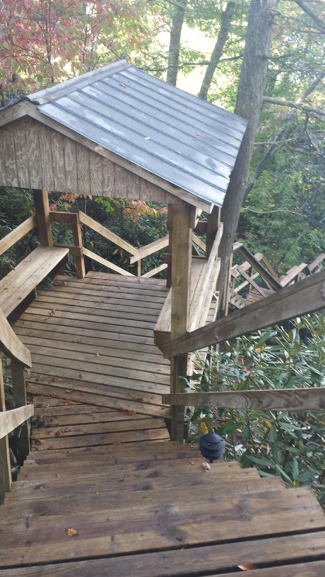 Metal roofed shelter over wooden steps on a wooded walkway — Skylight Repair & Installation work by our crew in Lucama